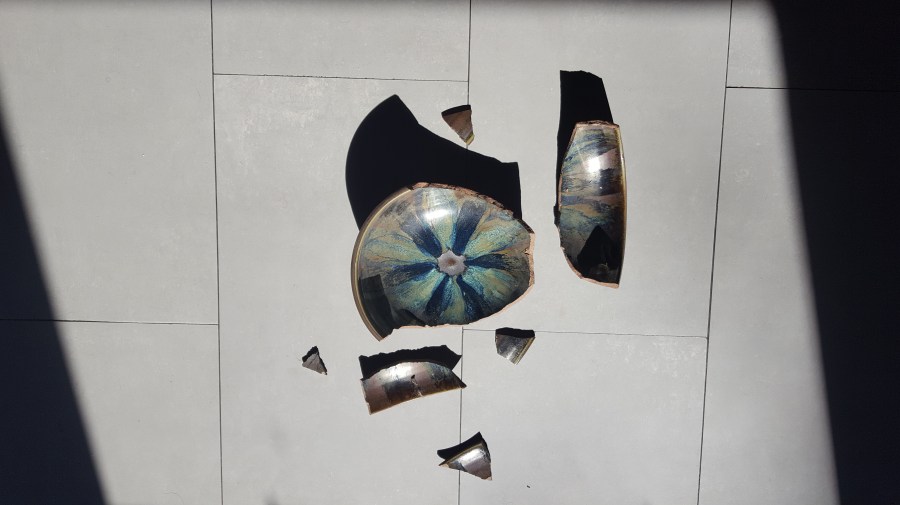 Complements of The Cat