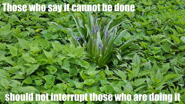 Those who say it cant be done